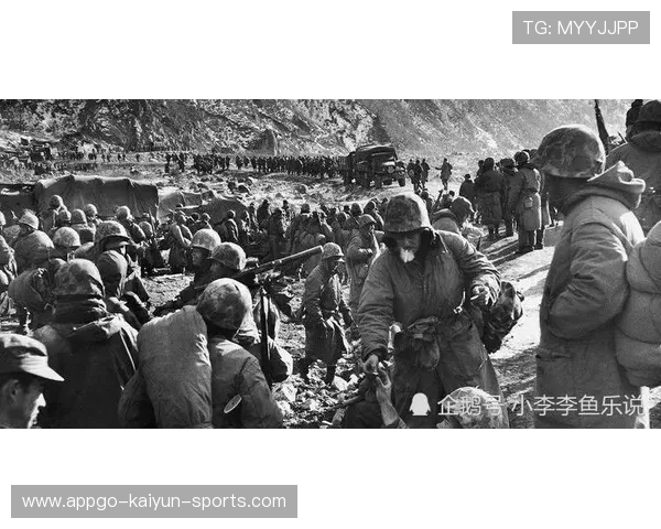 塞门约重磅加盟，防线溃败的背后秘密揭秘